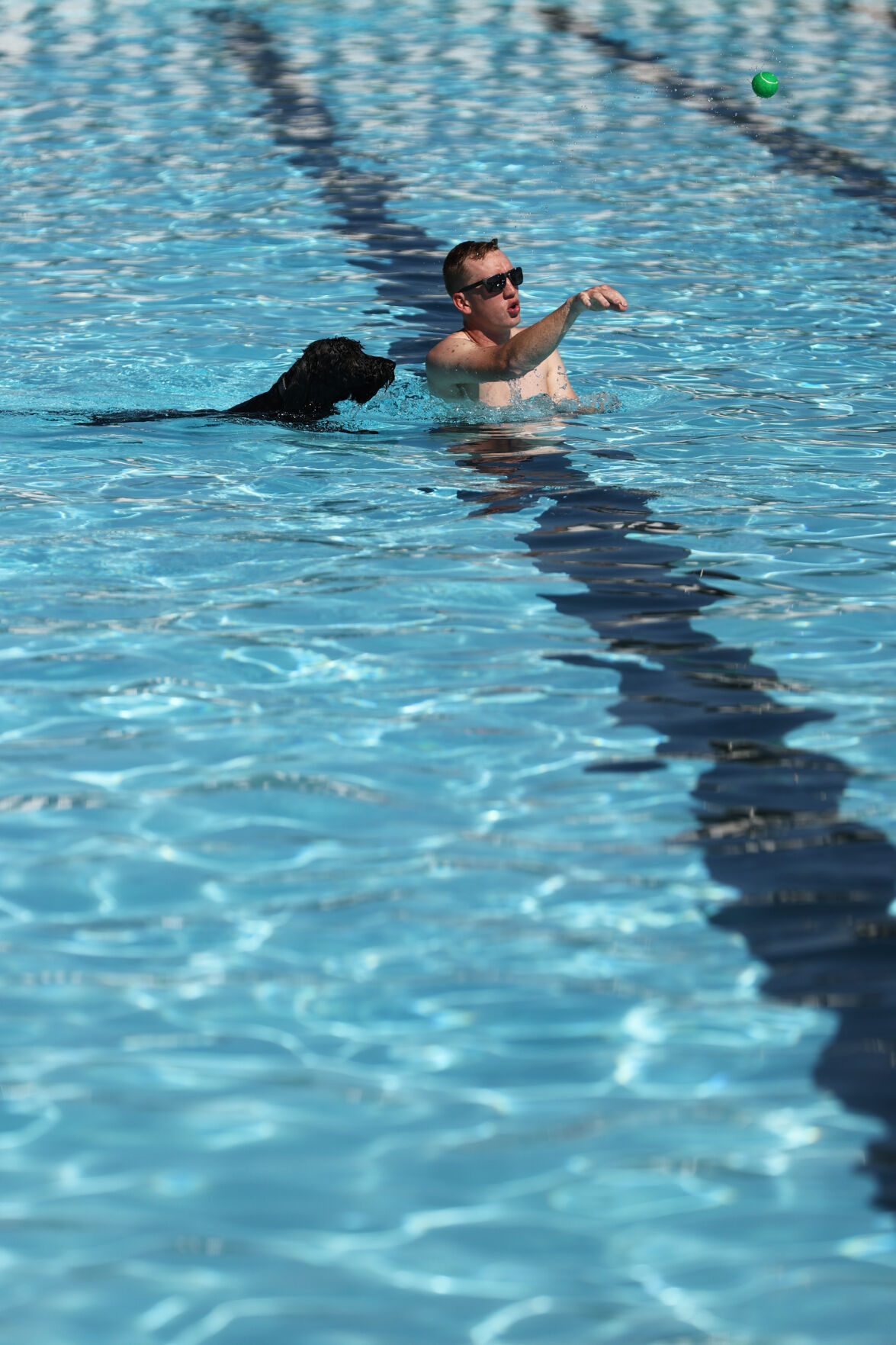 091320-news-dogsplash 24.jpg